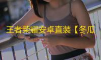 王者荣耀安卓直装【冬瓜】