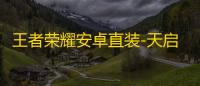 王者荣耀安卓直装-天启红莲辅助
