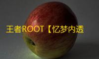 王者ROOT【忆梦内透】辅助
